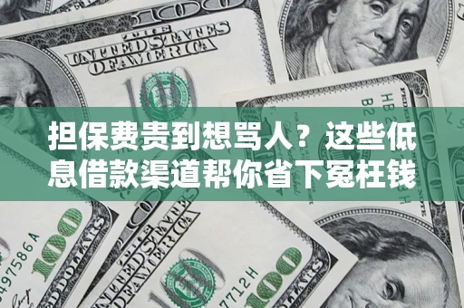 济南担保费贵到想骂人？这些低息借款渠道帮你省下冤枉钱