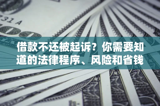济南借款不还被起诉？你需要知道的法律程序、风险和省钱技巧